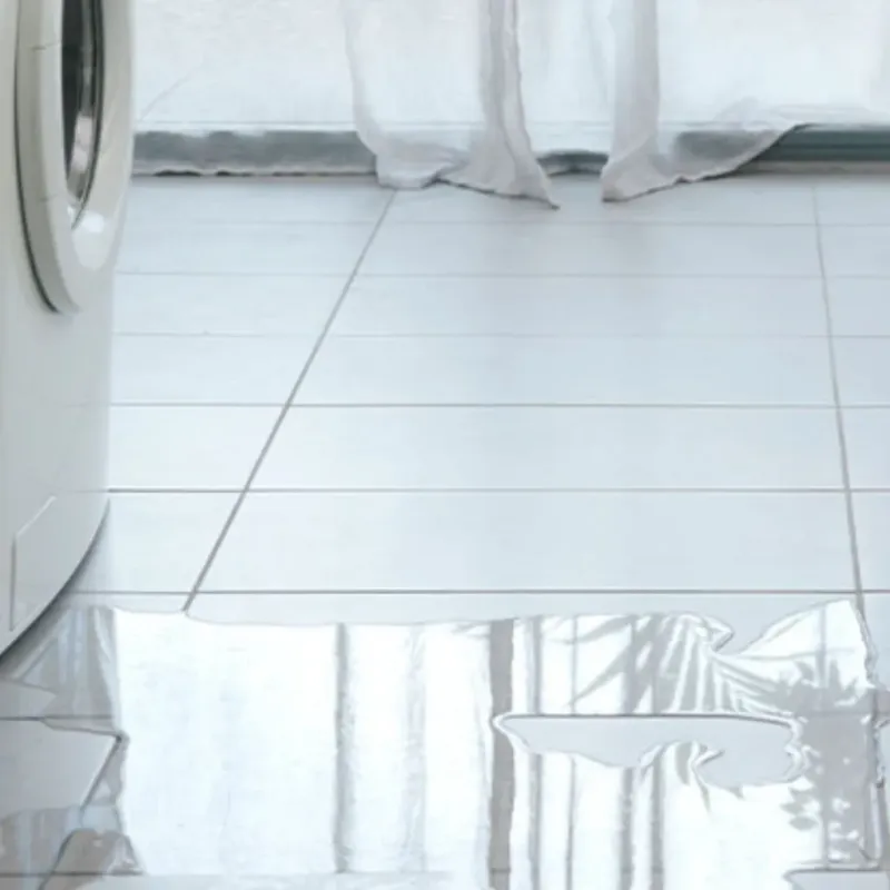 Appliance Leak Cleanup in Mio, MI