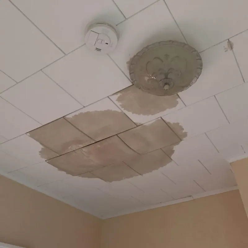 Ceiling Water Damage Repair in Mio, MI