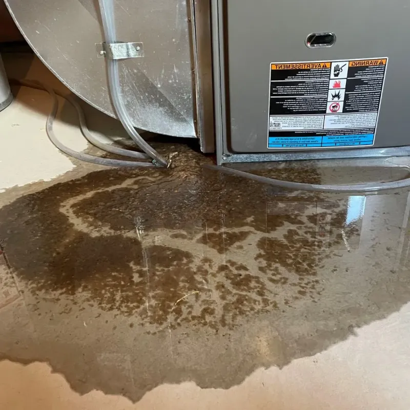 Pipe Burst and Leak Restoration in Mio, MI