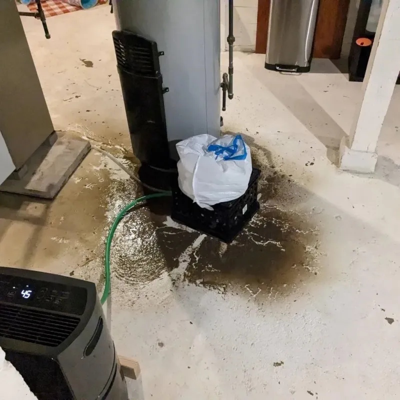 Sewage Backup Cleanup Service in Mio, MI